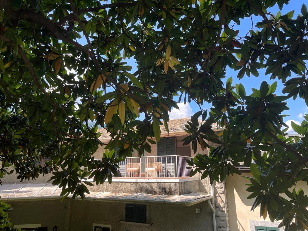 Appartamento Magnolia In Cademartori *